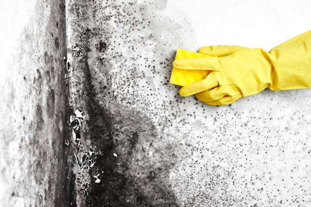 Water Damage Restoration in Pigeon Forge, TN
