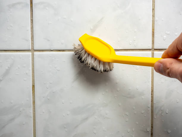 Best Same-Day Mold Removal  in Pigeon Forge, TN